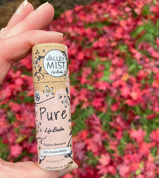 Valley Mist natural cocoa butter lip balm held in hand against autumn leaves — organic, plastic-free lip balm in biodegradable packaging