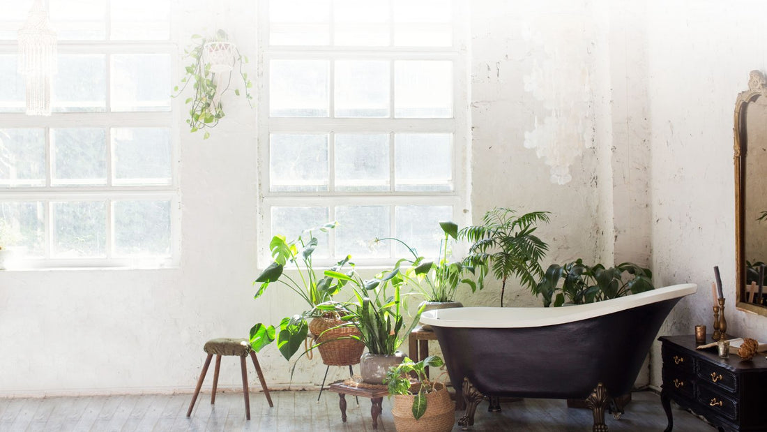 Luxurious boho aspirational bathroom glass — sustainable bathroom products by Valley Mist