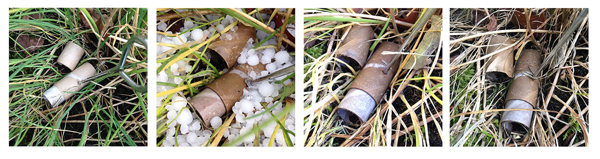 Valley Mist biodegradable lip balm tube decomposition study — four stages of breakdown shown over time in soil