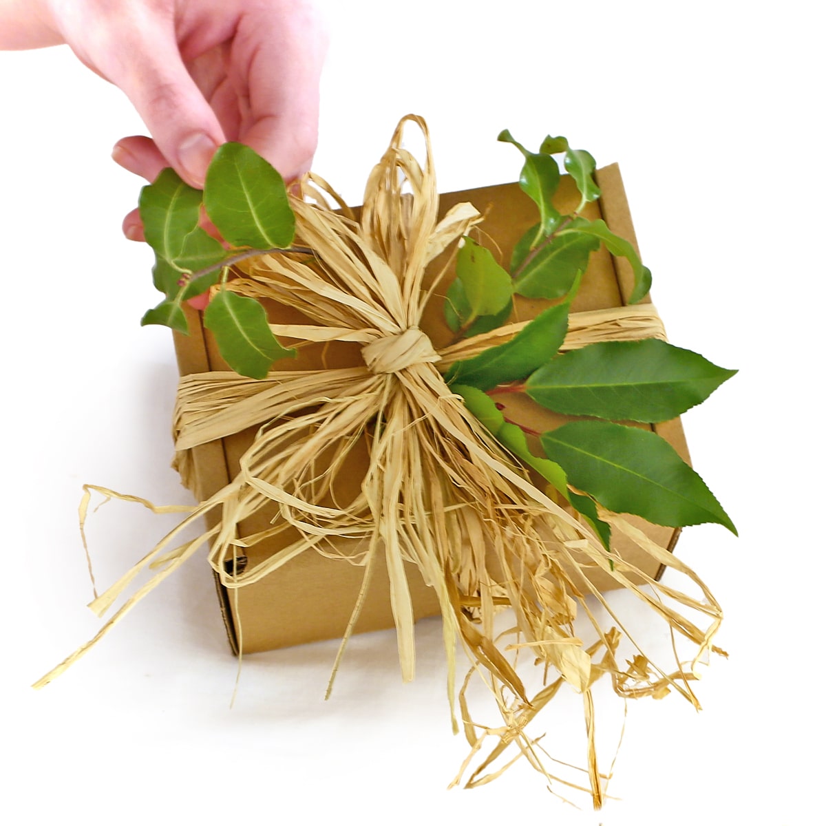 Hand-finished natural gift box wrapped in compostable raffia and decorated with fresh foliage — plastic-free, low-impact gifting handmade in the UK by Valley Mist