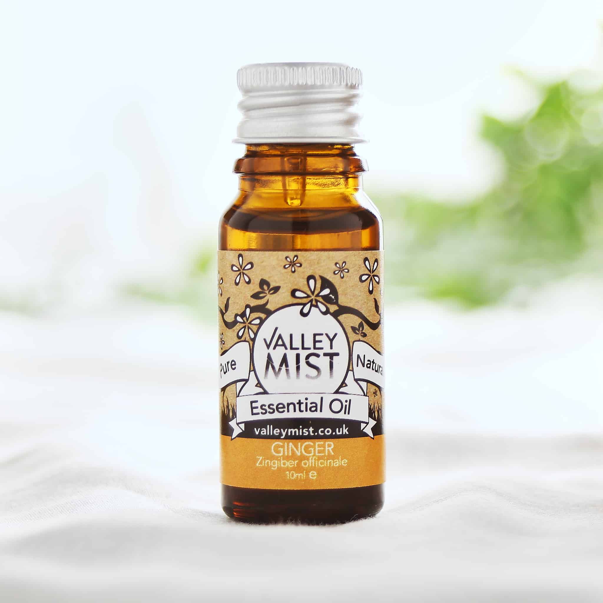 ginger essential oil