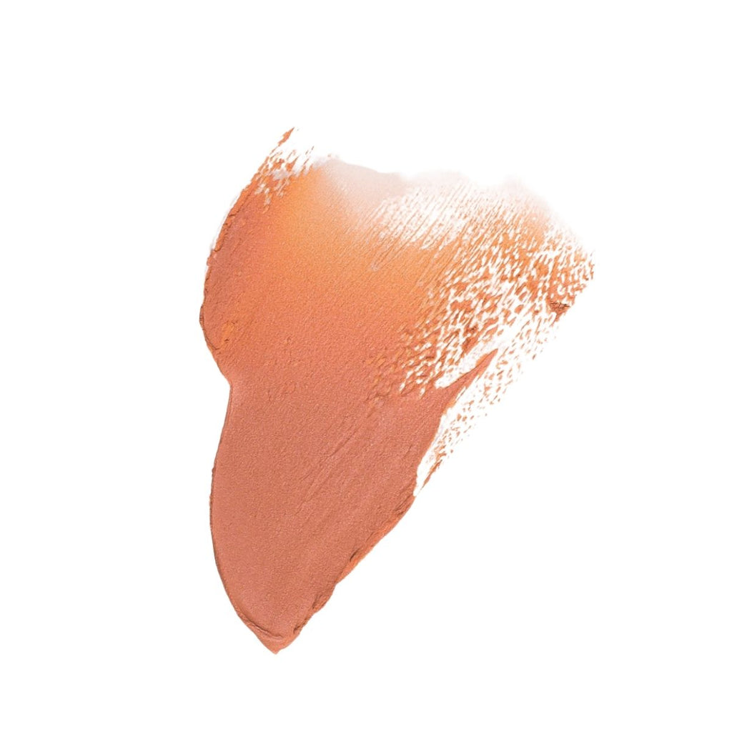 Sun Stick SPF 50
