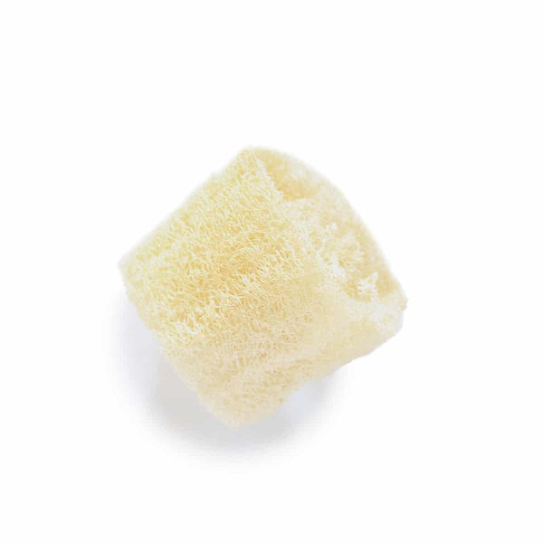 mini loofa for exfoliating dry lips