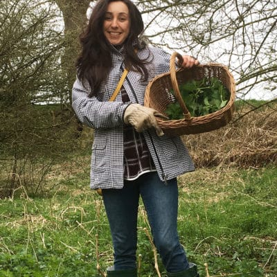 Collecting Nettles