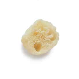 Mini loofa for exfoliating dry lips