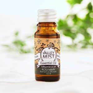 Pure Rosemary essential Oil