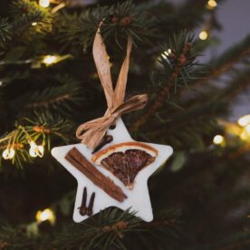 Star shape Christmas wax melt